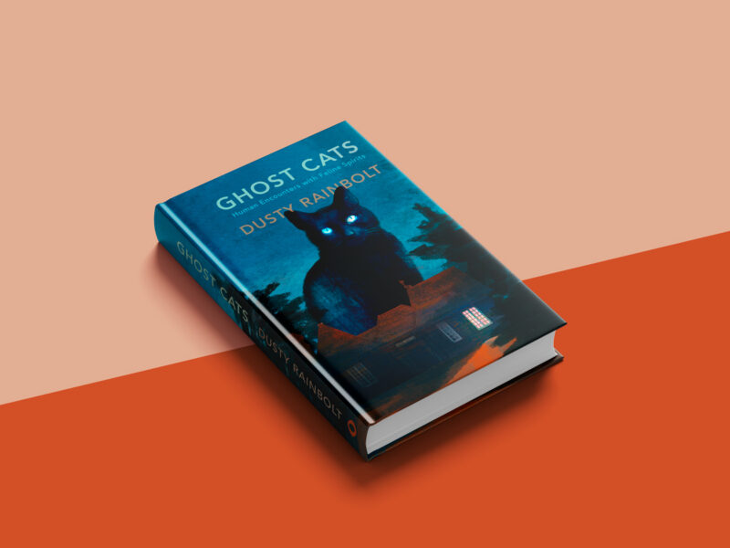 GHOST-CATS-COVER-MAITE_LEON