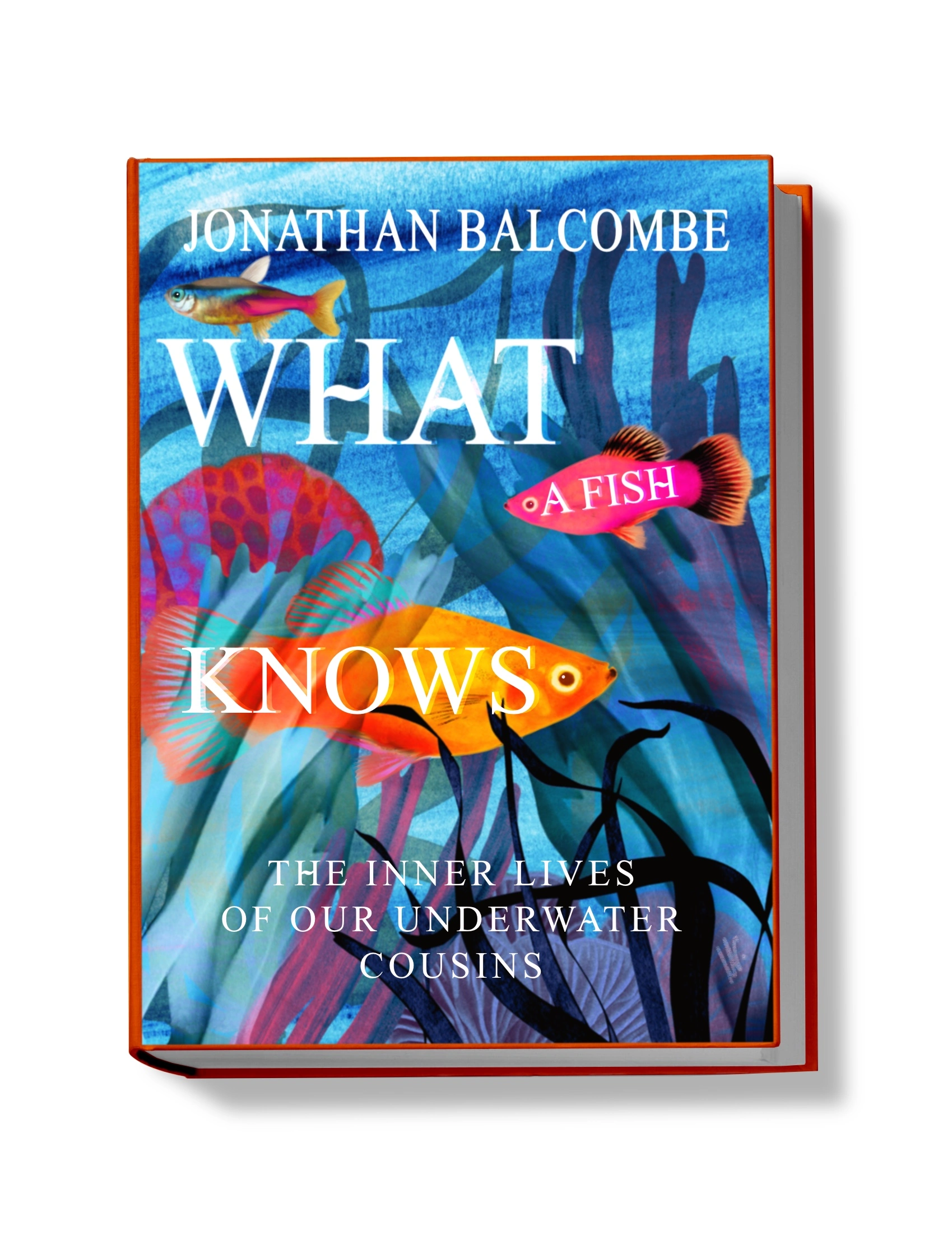 WHAT-A-FISH-KNOWS-MAITE-LEON-ILLUSTRATIONS