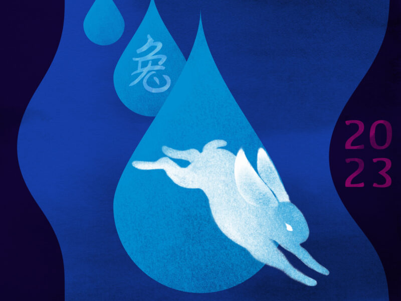 WATER-RABBIT-MAITE-LEON-ILLUSTRATION