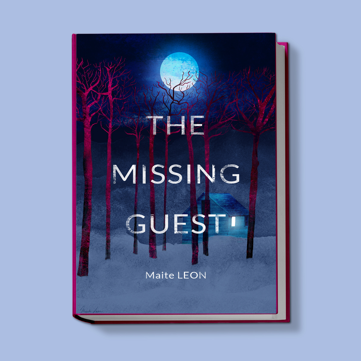 THE-MISSING-GUEST-MAITE-LEON-BOOK COVER