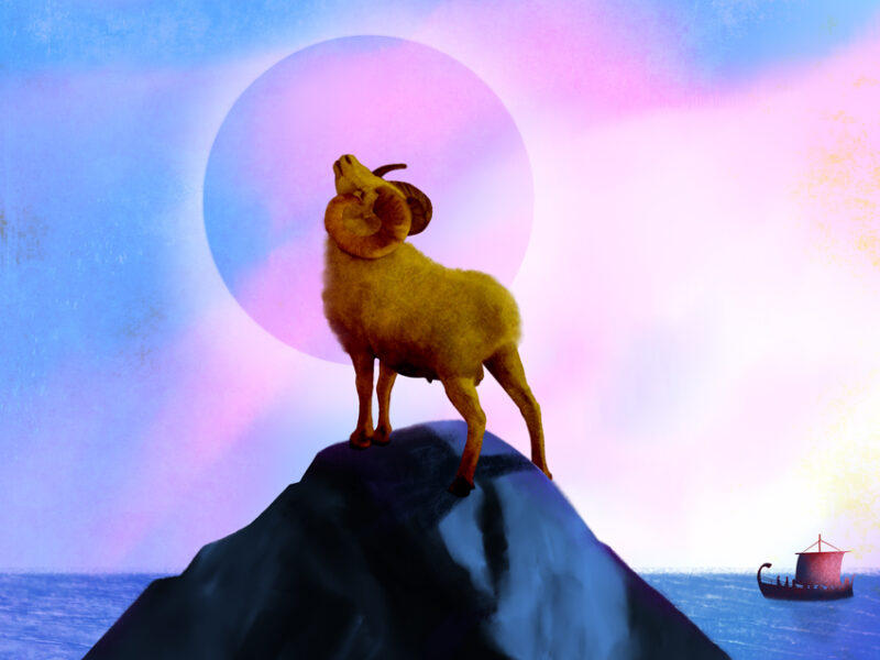 GOLDEN-RAM-MAITE-LEON-ILLUSTRATIONS