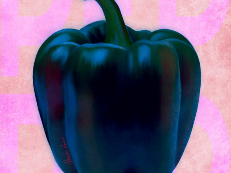 BELL-PEPPER-I-MAITE-LEON-ILLUSTRATIONS