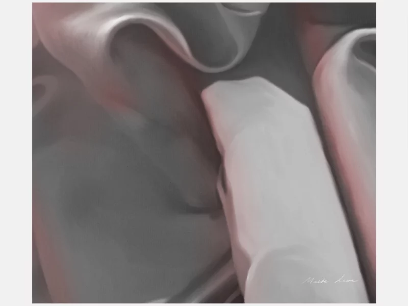 ANATOMY-OF-GREY-MAITE-LEON-ART