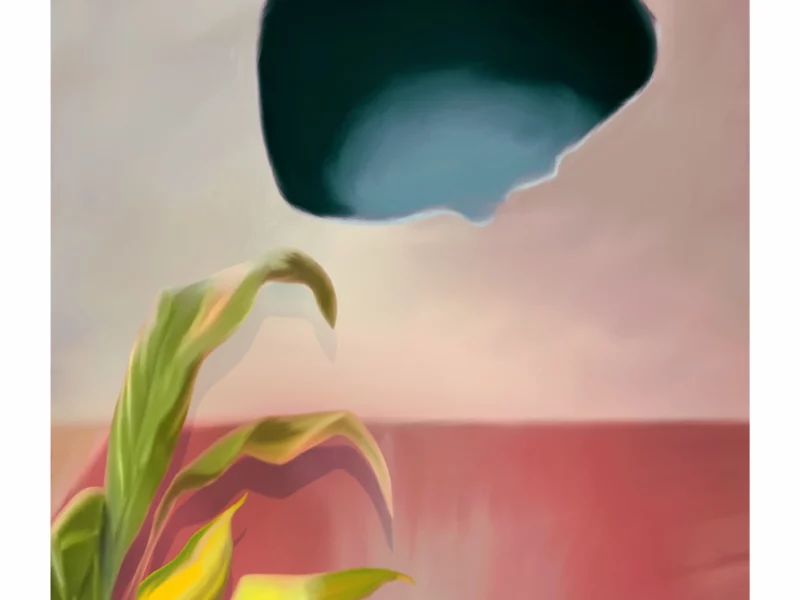 LIMINAL-SPACE-MAITE-LEON