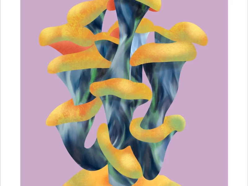 SHROOMS-MAITE-LEON-ILLUSTRATIONS