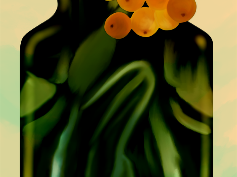 AFTER-NOON-MAITE-LEON-ART