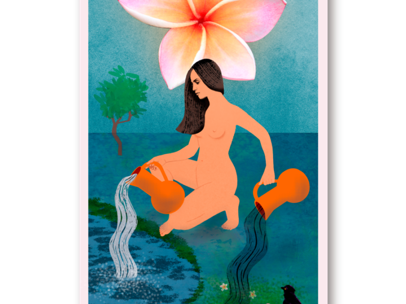 L'ETOILE-MAITE LEON ILLUSTRATIONS-card