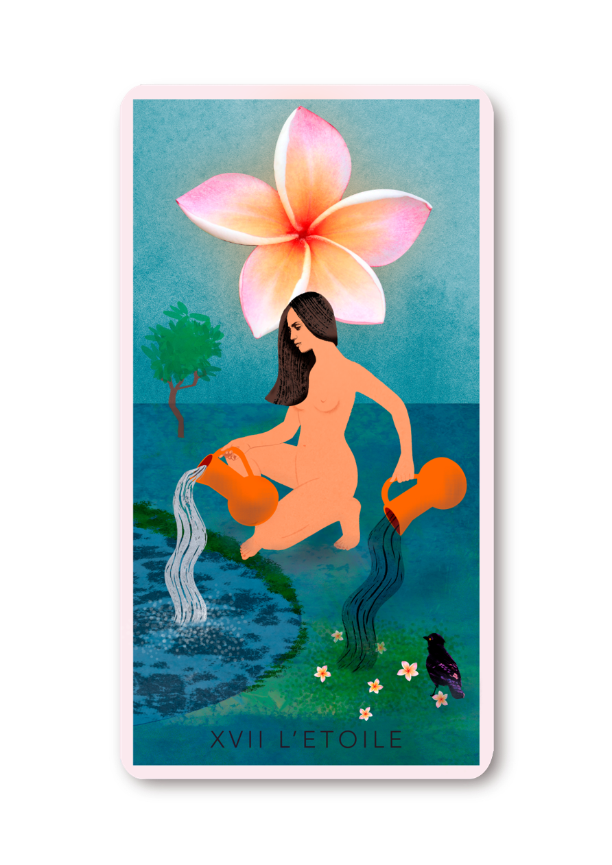 L'ETOILE-MAITE LEON ILLUSTRATIONS-card